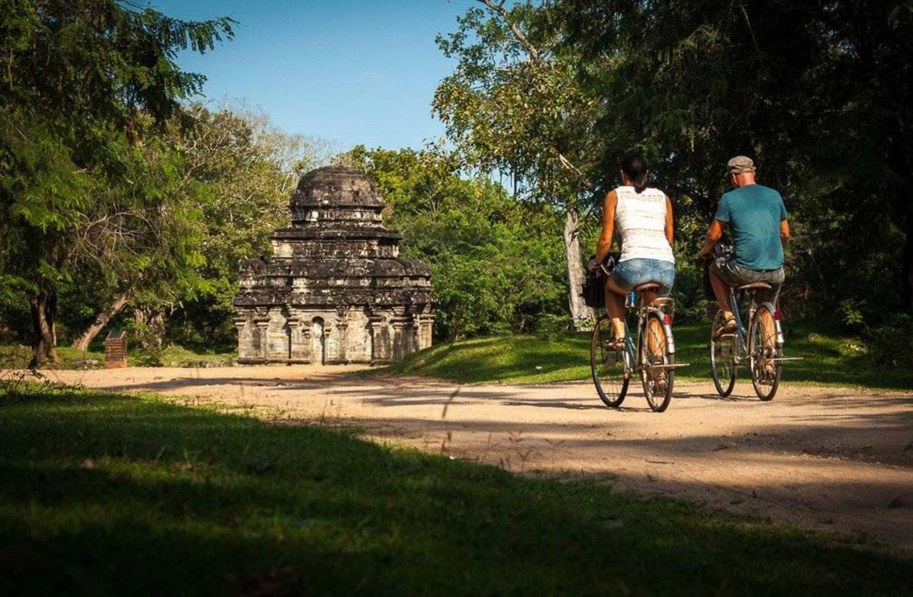 Lion Resort Polonnaruwa Bagian luar foto